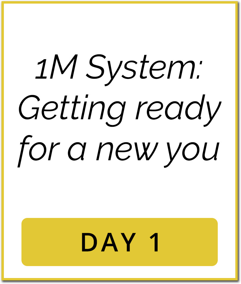 Day1 Day1 1M Sales System Content Day1