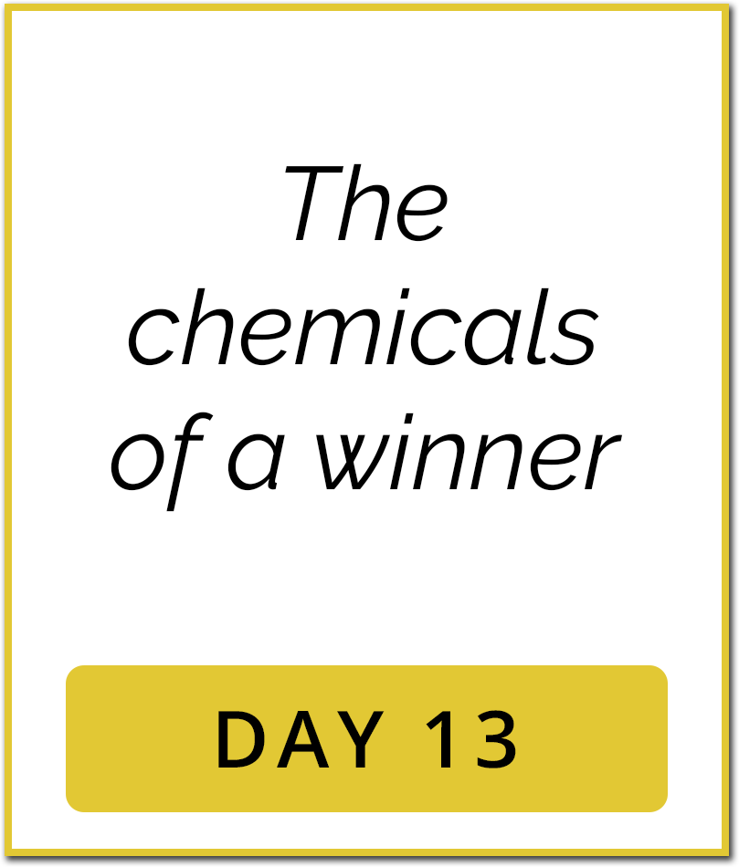 Day13 Day13 1M Sales System Content Day13